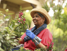 A woman in a straw hat and gloves clips a plant in her garden.